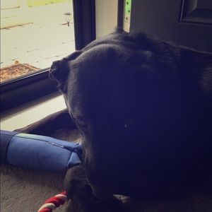 Meet your Posher, Lutsen